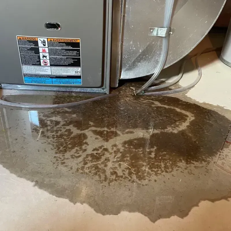 Appliance Leak Cleanup in Fall River, WI